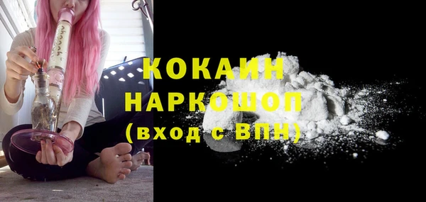 ПСИЛОЦИБИНОВЫЕ ГРИБЫ Новозыбков