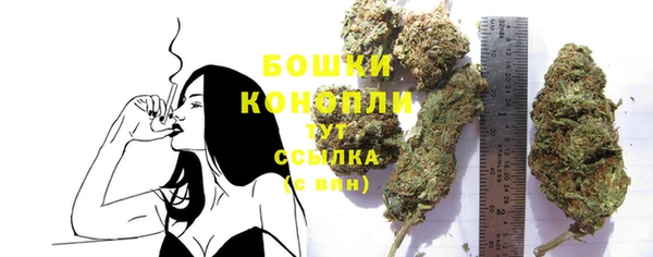 ПСИЛОЦИБИНОВЫЕ ГРИБЫ Новозыбков