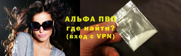 ПСИЛОЦИБИНОВЫЕ ГРИБЫ Новозыбков