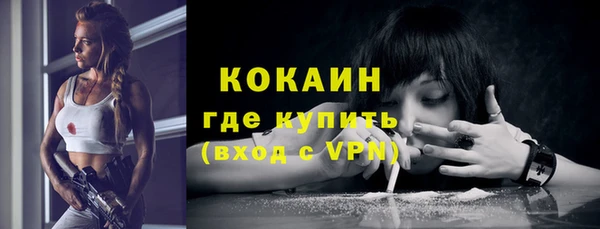 ПСИЛОЦИБИНОВЫЕ ГРИБЫ Новозыбков