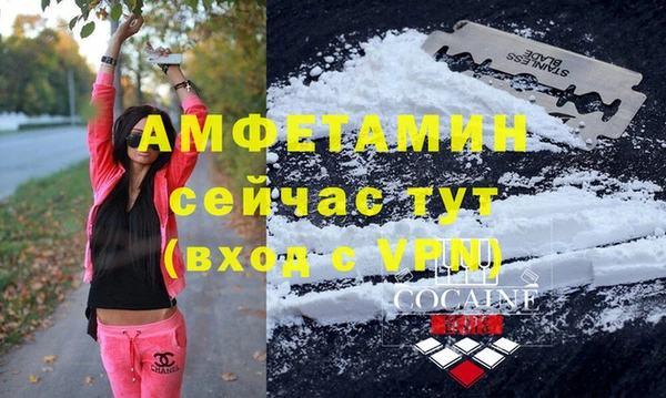 ПСИЛОЦИБИНОВЫЕ ГРИБЫ Новозыбков