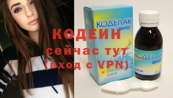 ПСИЛОЦИБИНОВЫЕ ГРИБЫ Новозыбков