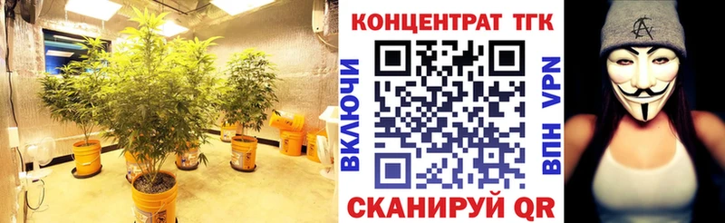 Дистиллят ТГК Wax  Новоузенск 